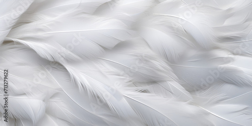white feathers background, Pure White Feathers Seamless Pattern