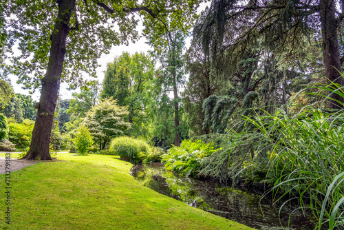A ditch surrounded by all colors of green in this beautiful arboretum in Rotterdam  the Netherlands