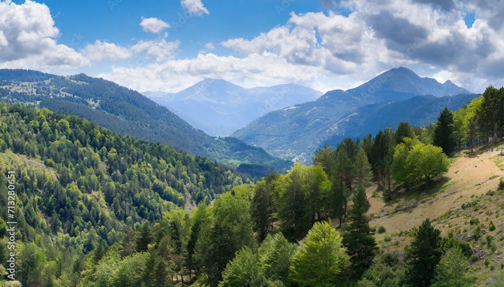 Fototapeta premium view of the mountains