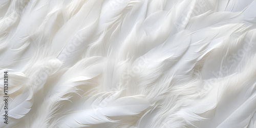 white feathers luxury background,, Exclusive White Feathers Backdrop