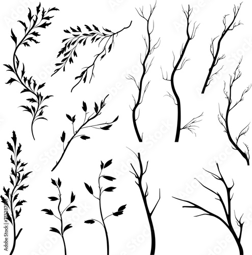 set of black branches and herbs. AI generated illustration.