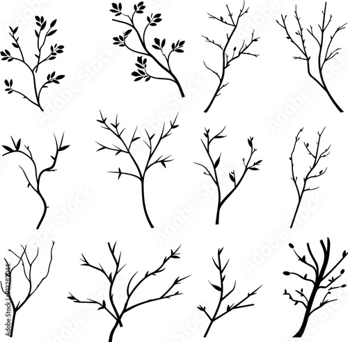 set of black branches and herbs. AI generated illustration.