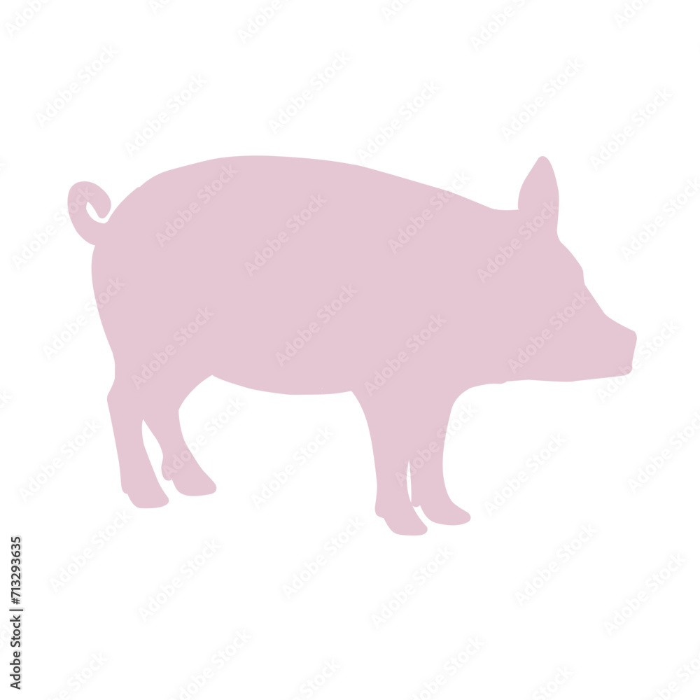 cute pig in different cute pig in different