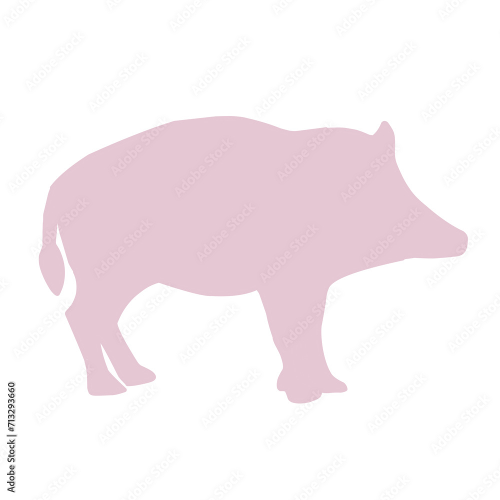 cute pig in different cute pig in different