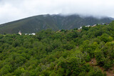 Mountain village hidden among chestnut trees and vegetation, Oencia, El Bierzo, Leon, Spain