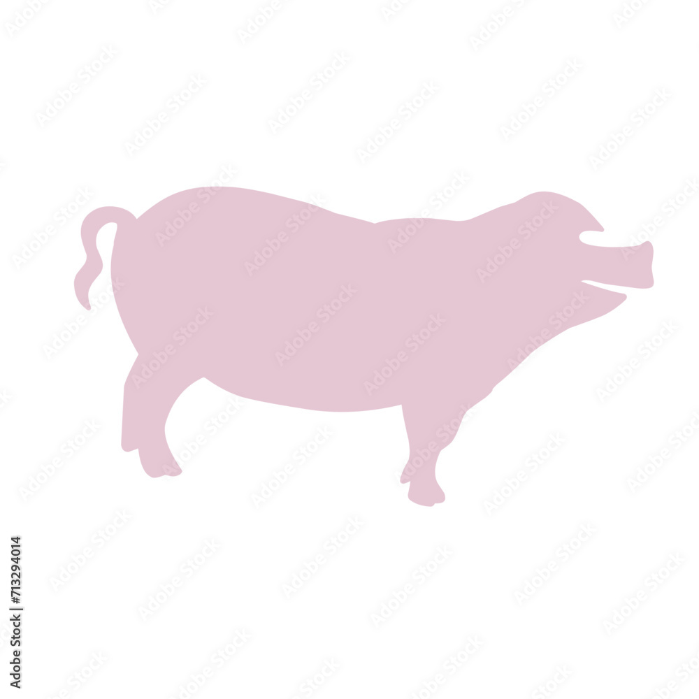 cute pig in different cute pig in different