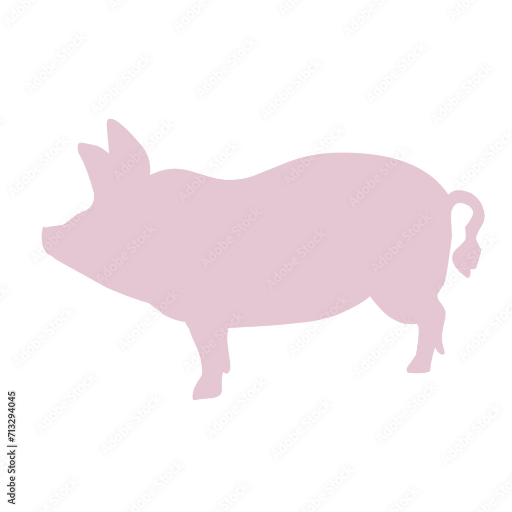 cute pig in different cute pig in different