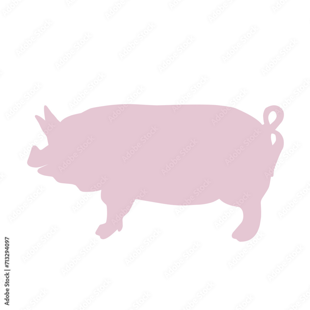 cute pig in different cute pig in different