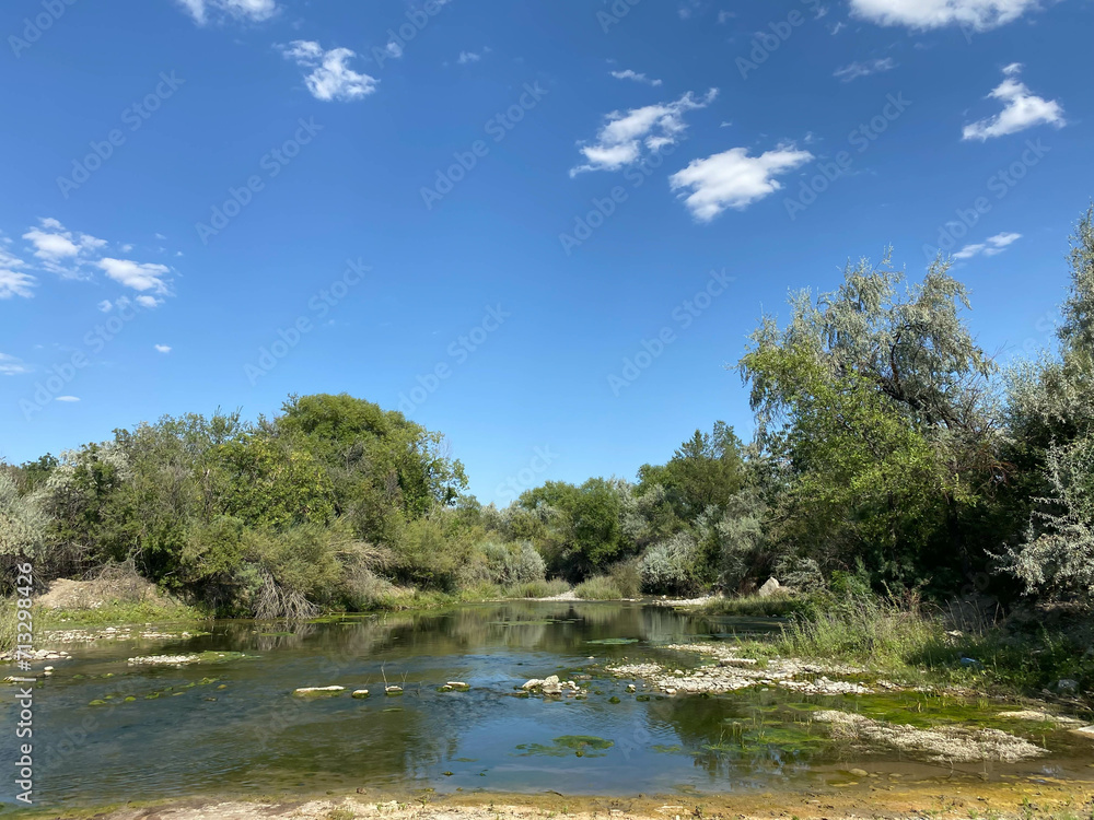 nature in summer with green trees and water river landscape for design
