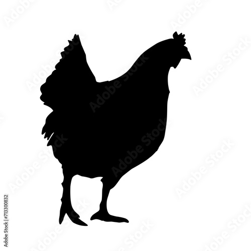 Variety chicken