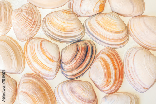 Top view of multiple sea shells, photo editing for wall art