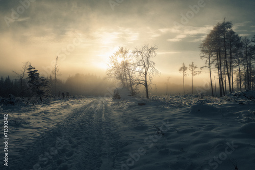 Winter in Deutschland, verschneite Landschaften
