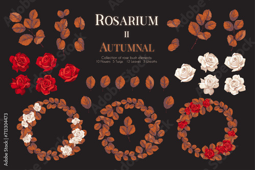 Rosarium: collection of rose floral elements and wreaths in autumnal color mood