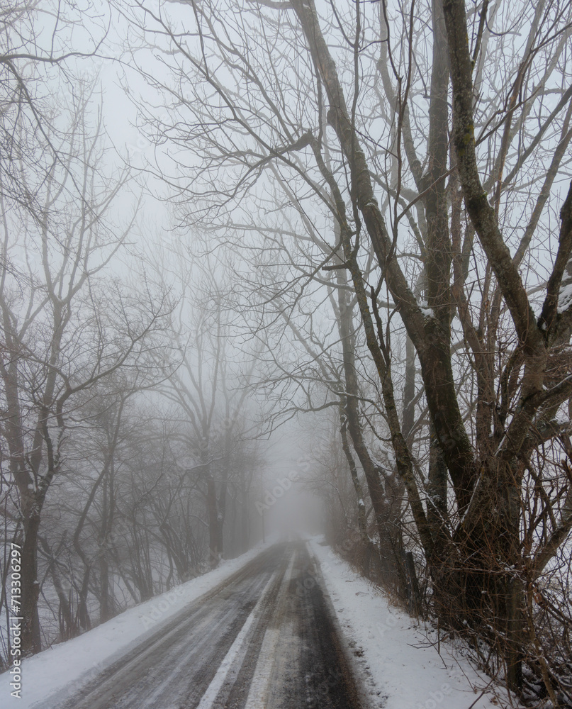 Obraz premium Paysage d'hiver dans une foret du Vercors