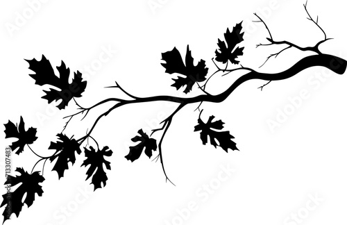 Realistic tree branches silhouette Vector illustration eps10. AI generated illustration.