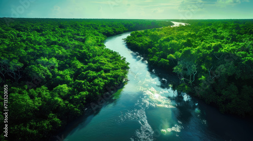 Mangrove Marvel: Aerial Wonders of the Sundarbans Ecosystem
