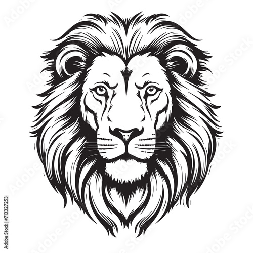 Lion portrait lion head sketch hand drawn engraving style Wild animals Vector illustration photo