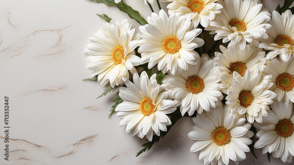 Fototapeta premium Bouquet of white daisies on a white background
