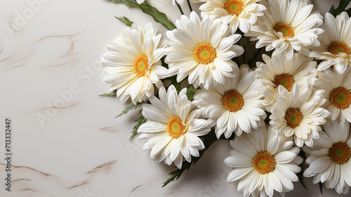 Bouquet of white daisies on a white background