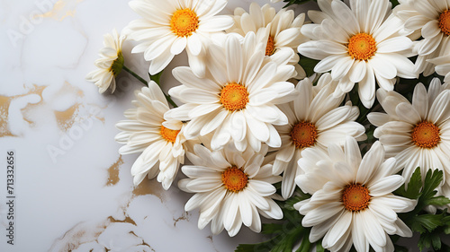 Bouquet of white daisies on a white background