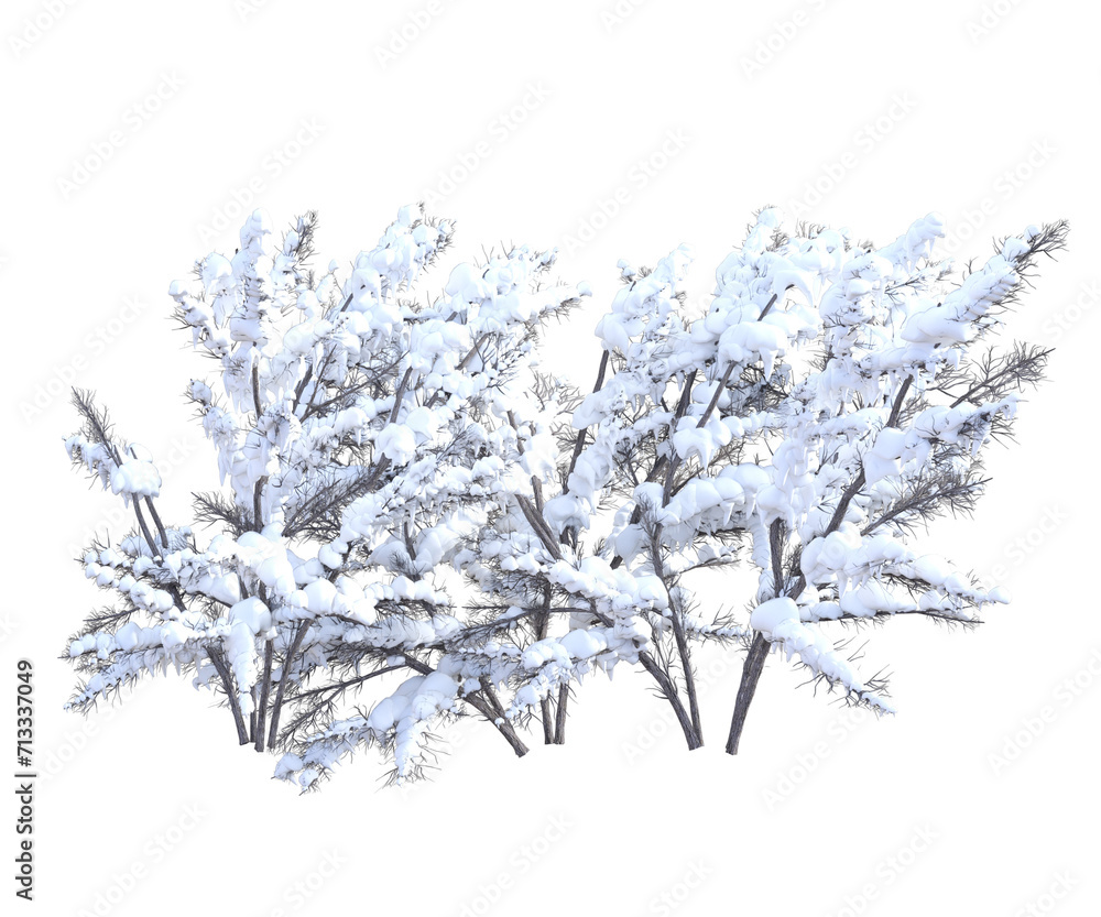 Albero con e senza foglie bianche, arancioni, verdi, gialle, rosse fondo trasparente e isolato inverno con neve	