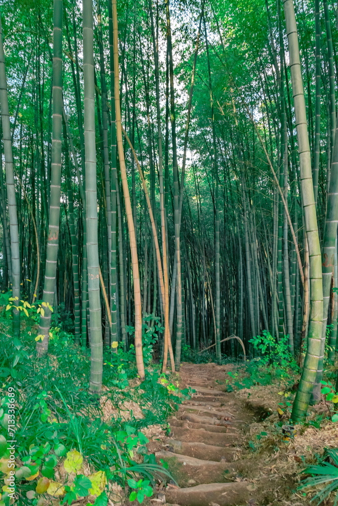 Obraz premium Park_21