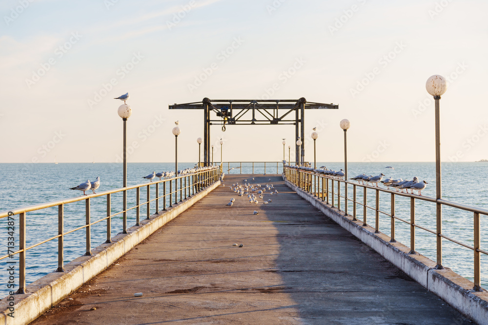 Seaside pier, seagulls on the railing. High quality photo