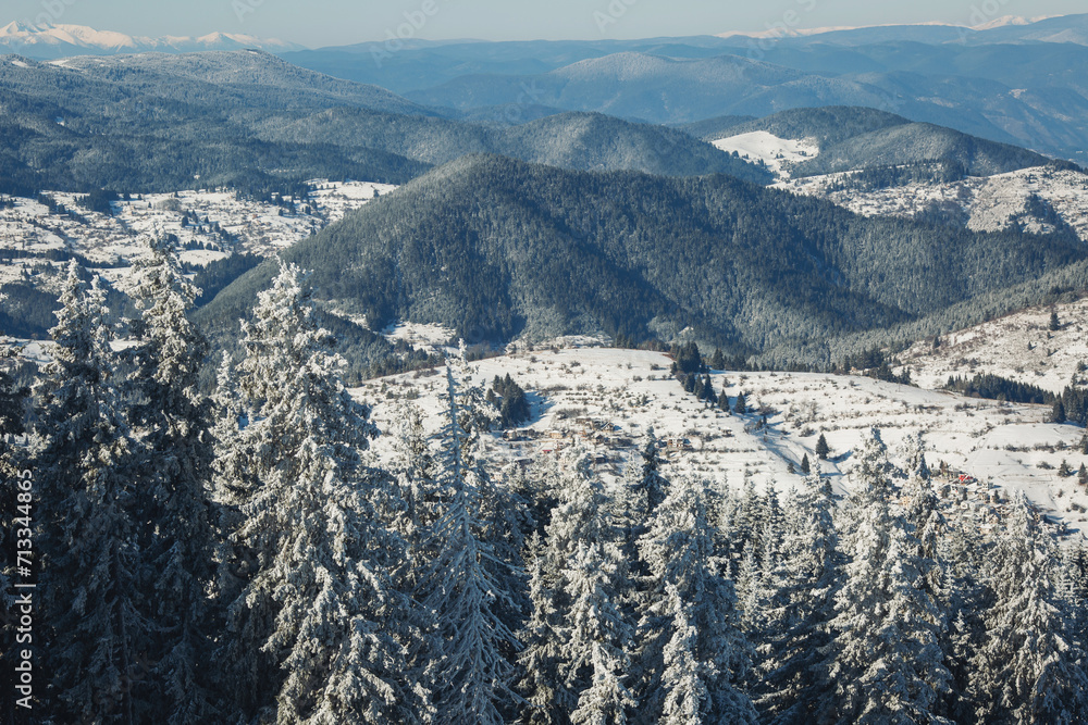 Obraz premium Texture of winter mountains. Winter landscape with snow covered trees. snowy landscape in the mountains. Winter view of mountain peaks and forest covered with snow. Snowy forest with pine trees. 