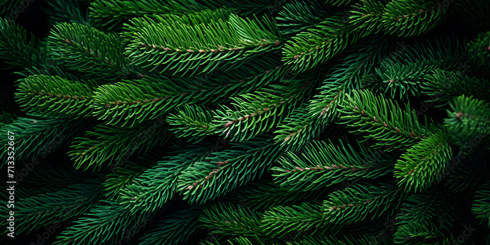 fern in the forest, Christmas Tree Texture Festive, Spruce Branch A Natural Green Plant Texture , Nature And Adventure Green International Day Of Forests,  Generative AI