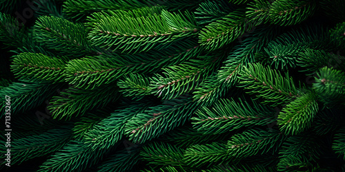 fern in the forest  Christmas Tree Texture Festive  Spruce Branch A Natural Green Plant Texture   Nature And Adventure Green International Day Of Forests   Generative AI