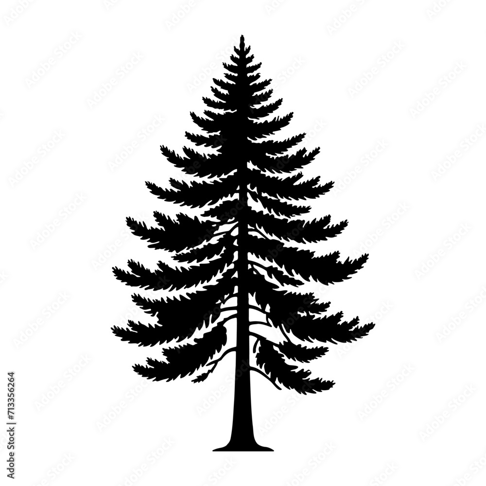 Obraz premium Pine tree silhouette. vector illustration