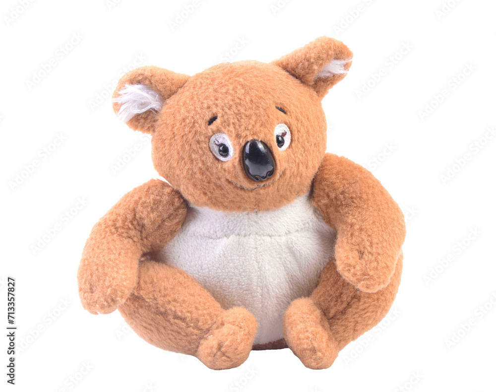 Obraz premium Koala bear isolated on white