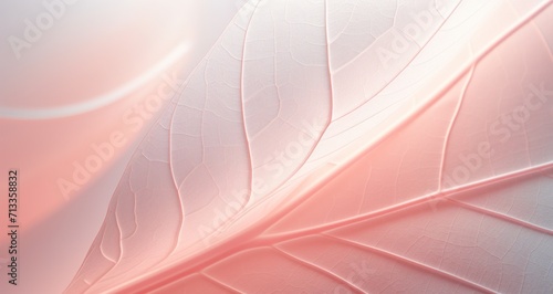a close up of a leaf is featured