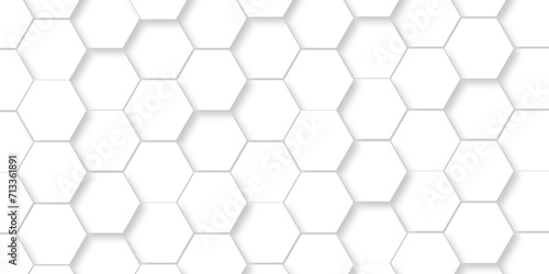 Background hexagons White Hexagonal Luxury honeycomb grid White Pattern. Vector Illustration. 3D Futuristic abstract honeycomb mosaic white wallpaper background. Abstract geometric mesh cell texture.