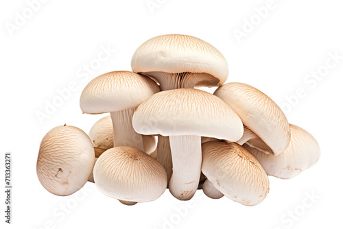group of mushroom isolated  Isolated on tran sparent PNG background  Generative ai