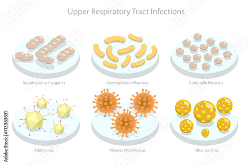 3D Isometric Flat  Conceptual Illustration of Upper Respiratory Tract Infection, Types of Viruses photo