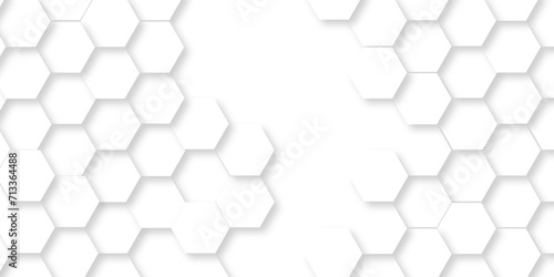Background hexagons White Hexagonal Luxury honeycomb grid White Pattern. Vector Illustration. 3D Futuristic abstract honeycomb mosaic white wallpaper background. Abstract geometric mesh cell texture.