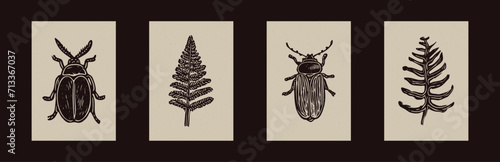 Handmade linocut bug fern vector motif clipart in folkart scandi style. Set of simple monochrome block print insect shapes with woodcut paper texture effect.