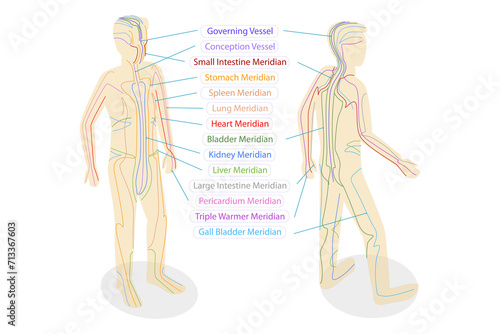3D Isometric Flat  Conceptual Illustration of Body Meredians, Traditional Chinese Medicine