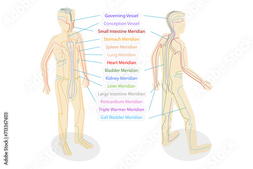 3D Isometric Flat Conceptual Illustration of Body Meredians, Traditional Chinese Medicine
