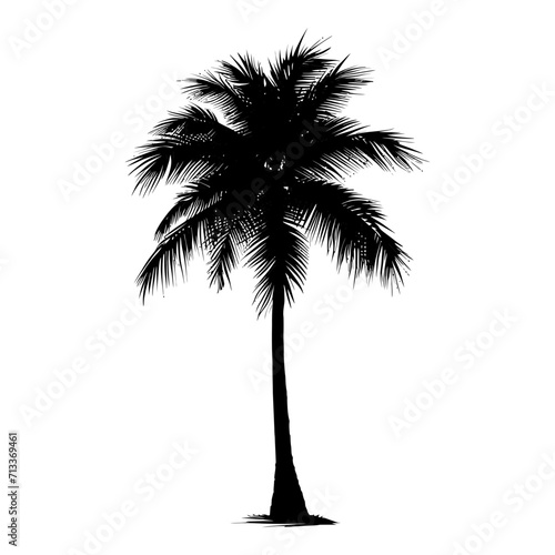 silhouette coconut tree black color only