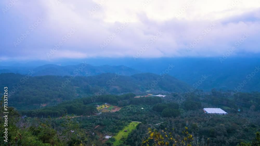DA LAT, VIET NAM - Time lapse Of Misty Fog Blowing Over Hill With Pine Tree Forest DA LAT, VIET NAM - Time lapse Of Misty Fog Blowing Over Hill With Pine Tree Forest