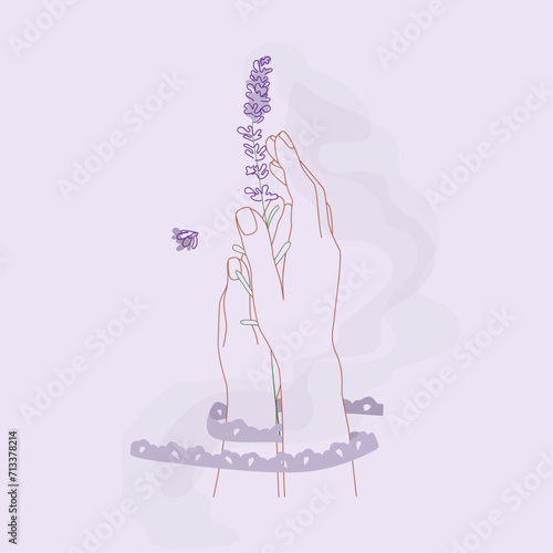 Hands holding lavender