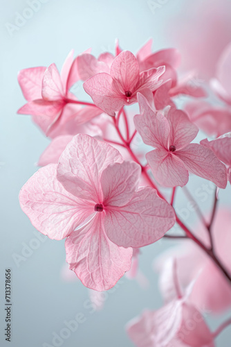Pink hydrangea flower soft elegant vertical background, card template © Ema