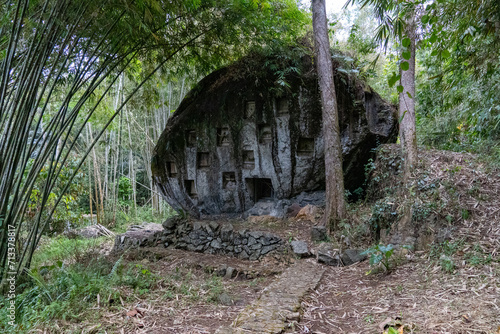 Bori graveyard, Megalithic Stone, Tana Toraja, Sulawesi photo