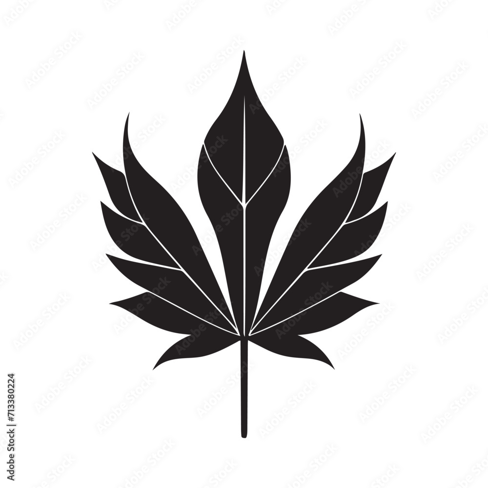 Maple Leaf Illustration Maple Leaf Illustration