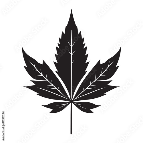 Maple Leaf Illustration