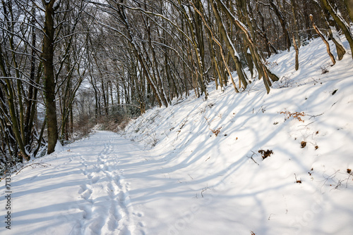 Winterliche Wege in der Schneelandschaft des Hanfbachtals in Hennef