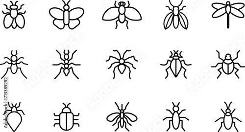 Insects beetles  flies  butterflies vector set