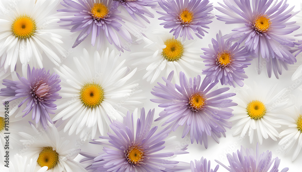 The Symbolism of the Aster Flowers The Symbolism of the Aster Flowers